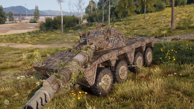 Уникальная кастомизация танка 11 лвл Executor в World of Tanks